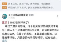 欧洲杯在哪能看直播比赛:欧洲杯在哪能看直播比赛回放