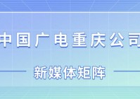 欧洲杯直播官微微博号是多少:欧洲杯直播官微微博号是多少号