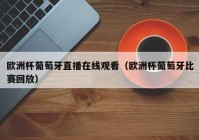 欧洲杯直播乐视网:欧洲杯直播乐视网在线观看