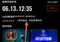 在哪个软件可以看欧洲杯直播:在哪个软件可以看欧洲杯直播回放