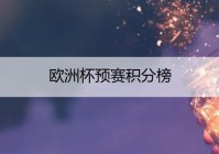 欧洲杯预选赛直播渠道是什么:欧洲杯预选赛直播渠道是什么意思