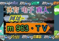 直播欧洲杯饭馆:直播欧洲杯饭馆是真的吗