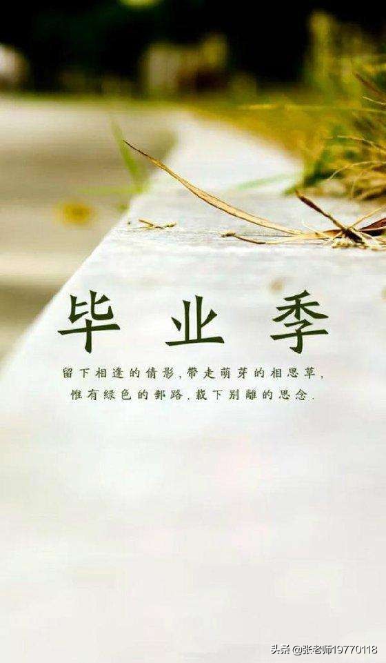 达州哪里可以看欧洲杯直播