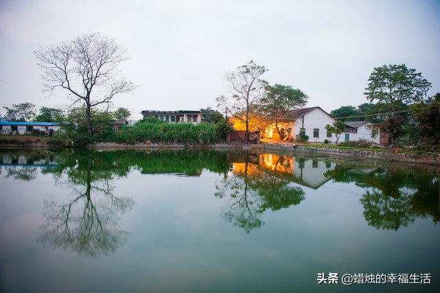 大神直播欧洲杯:大神直播欧洲杯在哪看