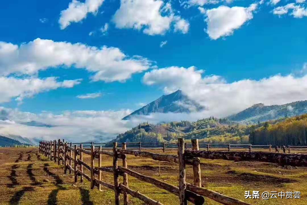 欧洲杯直播两会: