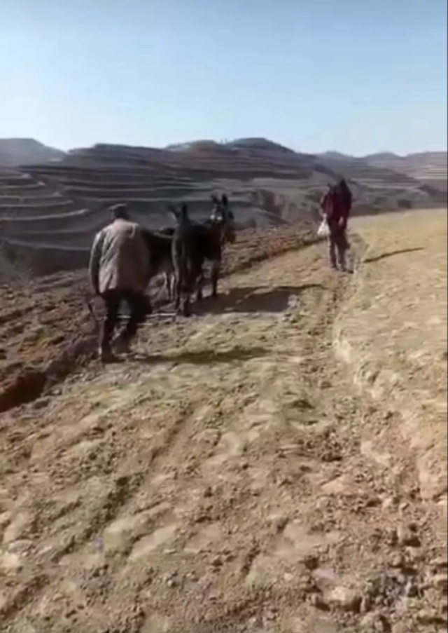 大地欧洲杯直播:大地篮球直播