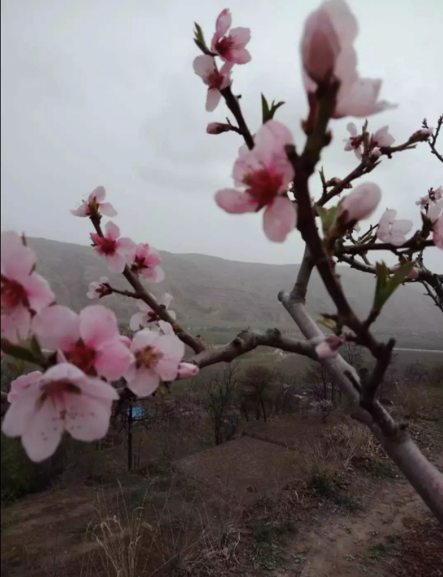 大地欧洲杯直播:大地篮球直播