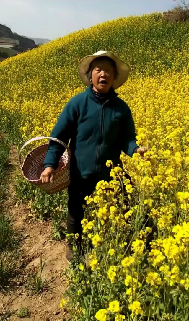 大地欧洲杯直播:大地篮球直播