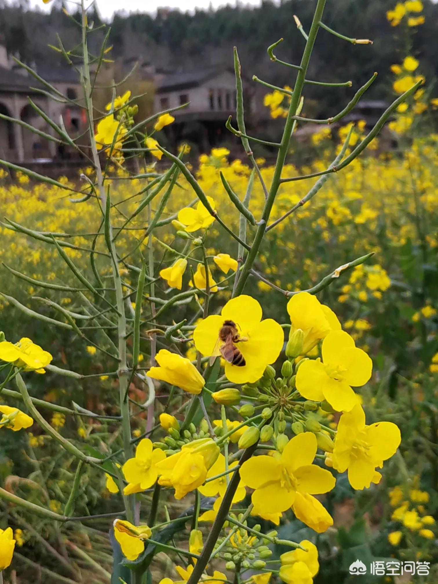 昆明欧洲杯直播:昆明欧洲杯直播平台