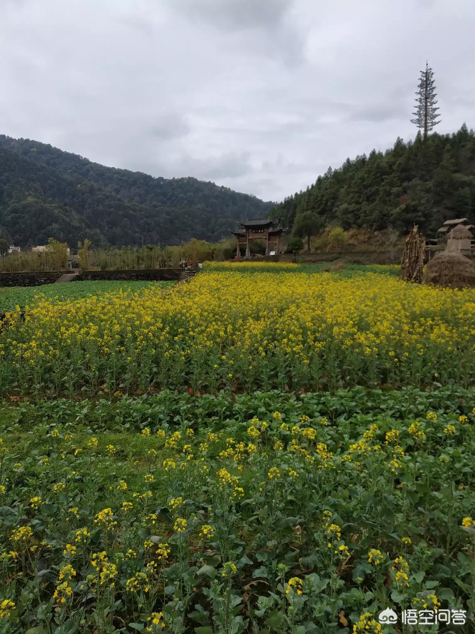 昆明欧洲杯直播:昆明欧洲杯直播平台