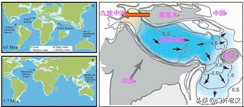 蓝鲸直播欧洲杯在哪看:蓝鲸直播欧洲杯在哪看回放