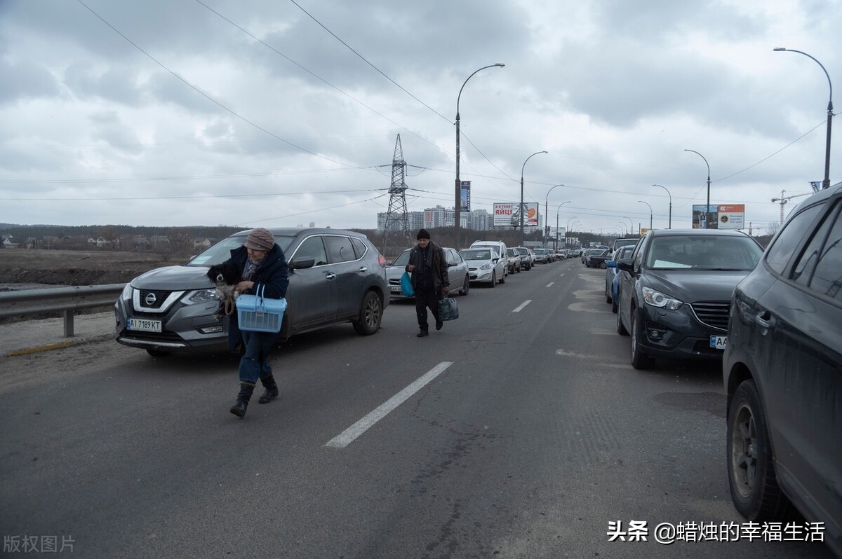 决战欧洲杯直播:决战欧洲杯直播在哪看