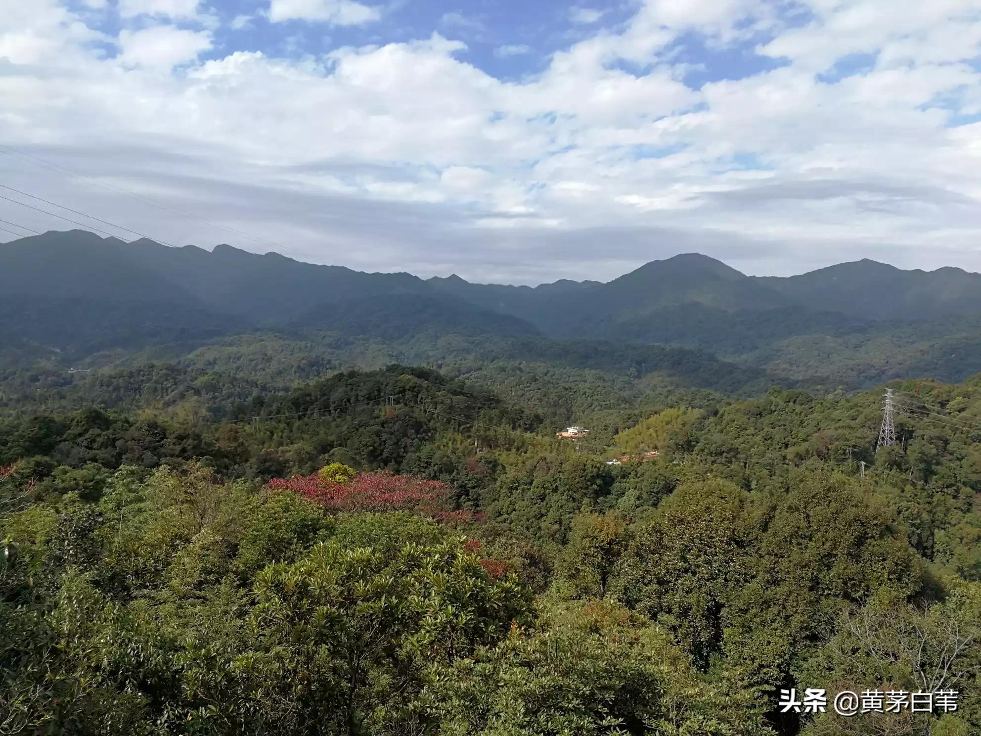 小杜怎么看欧洲杯直播的:小杜怎么看欧洲杯直播的视频