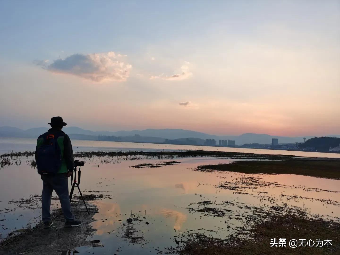 欧洲杯烤羊排直播在线观看:欧洲杯烤羊排直播在线观看