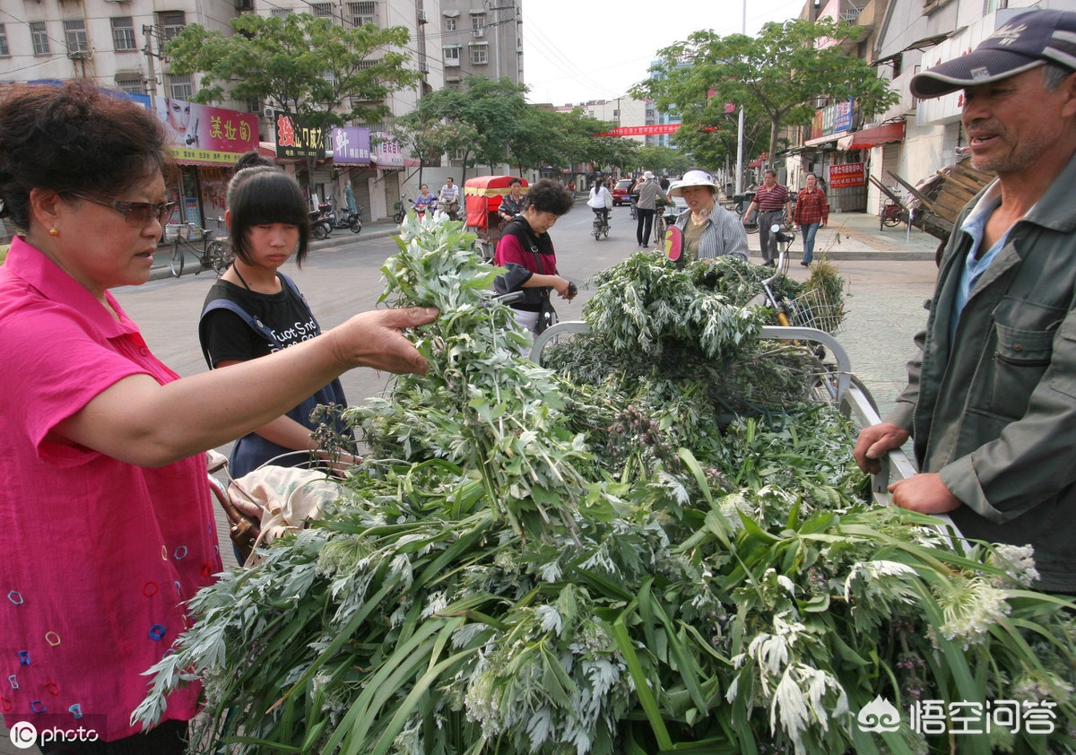 植直播欧洲杯:直播 欧洲杯