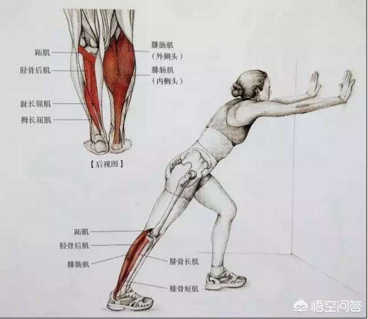 直播欧洲杯怎么瘦腿:直播的欧洲杯