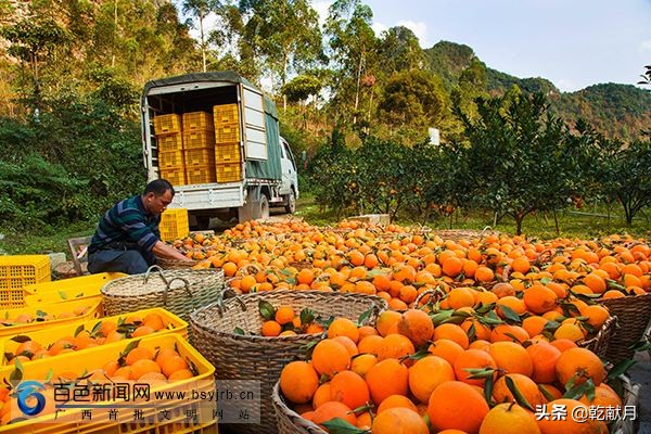 岑溪哪里可以看欧洲杯直播:岑溪哪里可以看欧洲杯直播啊