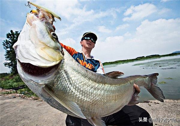 海安哪里可以看欧洲杯直播:海安哪里可以看欧洲杯直播的