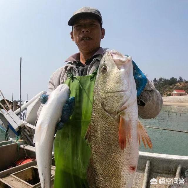 蕉城哪里看欧洲杯直播:蕉城哪里看欧洲杯直播好