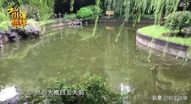 欧洲杯直播标题画法教程:欧洲杯直播标题画法教程视频