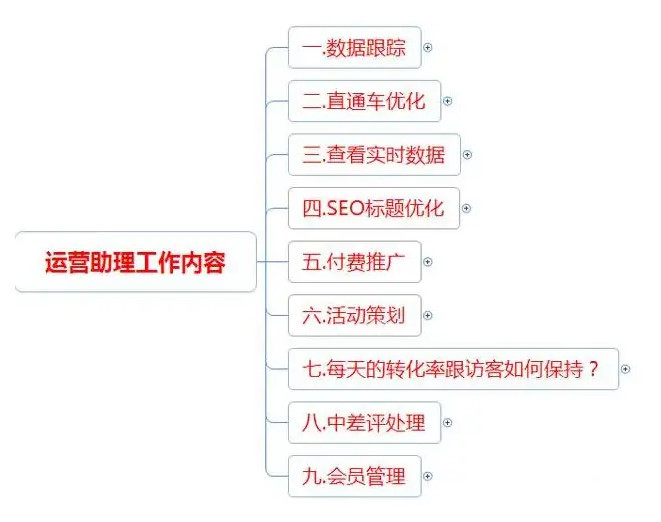 欧洲杯直播运营助理:欧洲杯直播运营助理是干嘛的