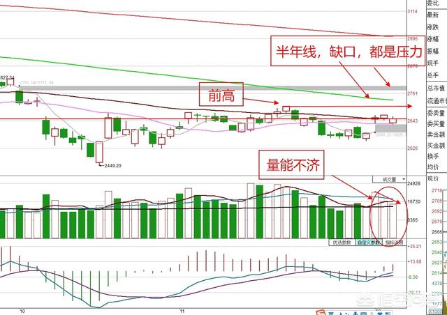 欧洲杯吐槽吧直播在哪看:欧洲杯吐槽吧直播在哪看啊