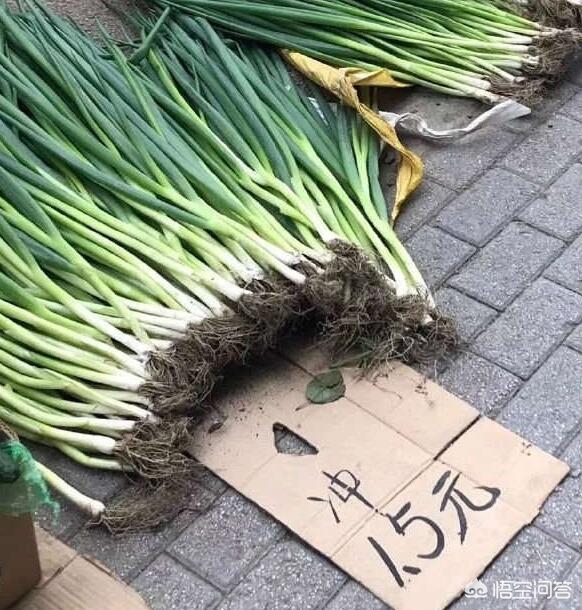 芒果直播欧洲杯:芒果直播欧洲杯在哪看