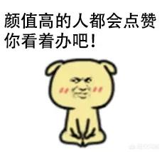 乐视直播欧洲杯吗:乐视直播欧洲杯吗是真的吗