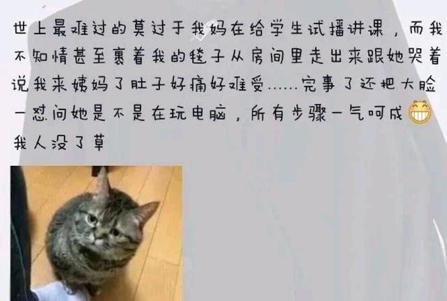 欧洲杯分屏看直播:欧洲杯直播可以投屏吗