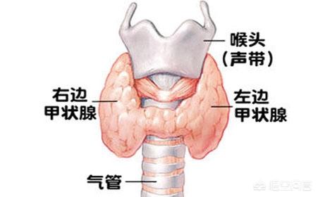 欧洲杯直播弹幕ct:欧洲杯哪里直播有弹幕