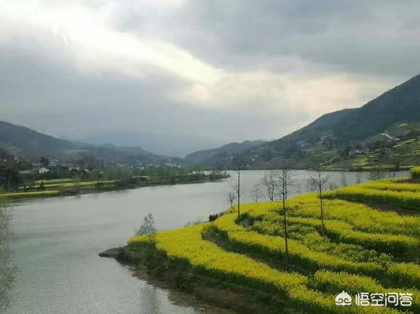 大地足球直播欧洲杯:大地足球直播欧洲杯在线观看