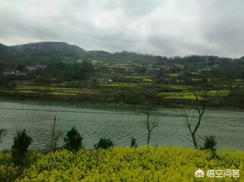 大地足球直播欧洲杯:大地足球直播欧洲杯在线观看