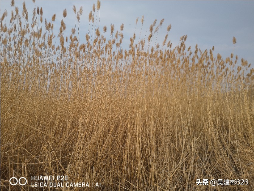 乾州看欧洲杯最新消息直播:乾州看欧洲杯最新消息直播视频