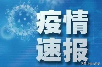 欧洲杯官方发布会直播在哪看:欧洲杯官方发布会直播在哪看啊