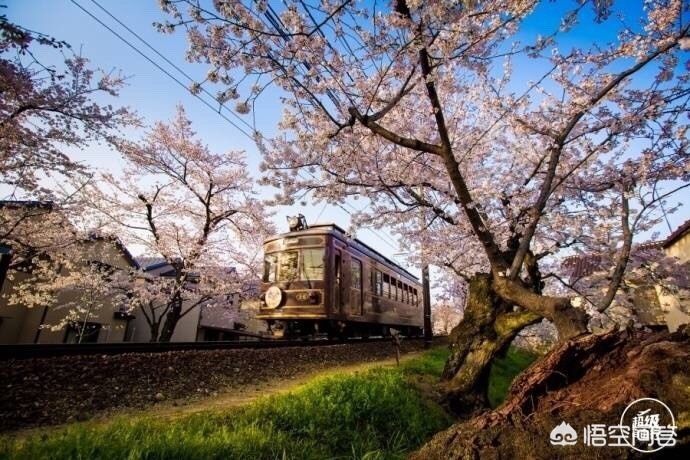 眉山哪里看欧洲杯直播的: