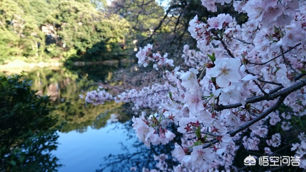 眉山哪里看欧洲杯直播的: