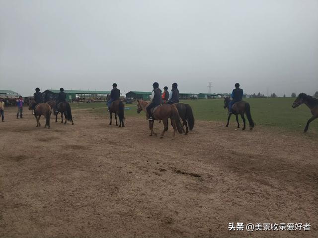 锡林浩特欧洲杯直播:图片不能双指放大