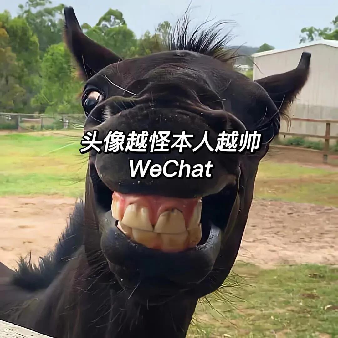 欧洲杯直播倒立洗头:欧洲杯直播倒立洗头是真的吗