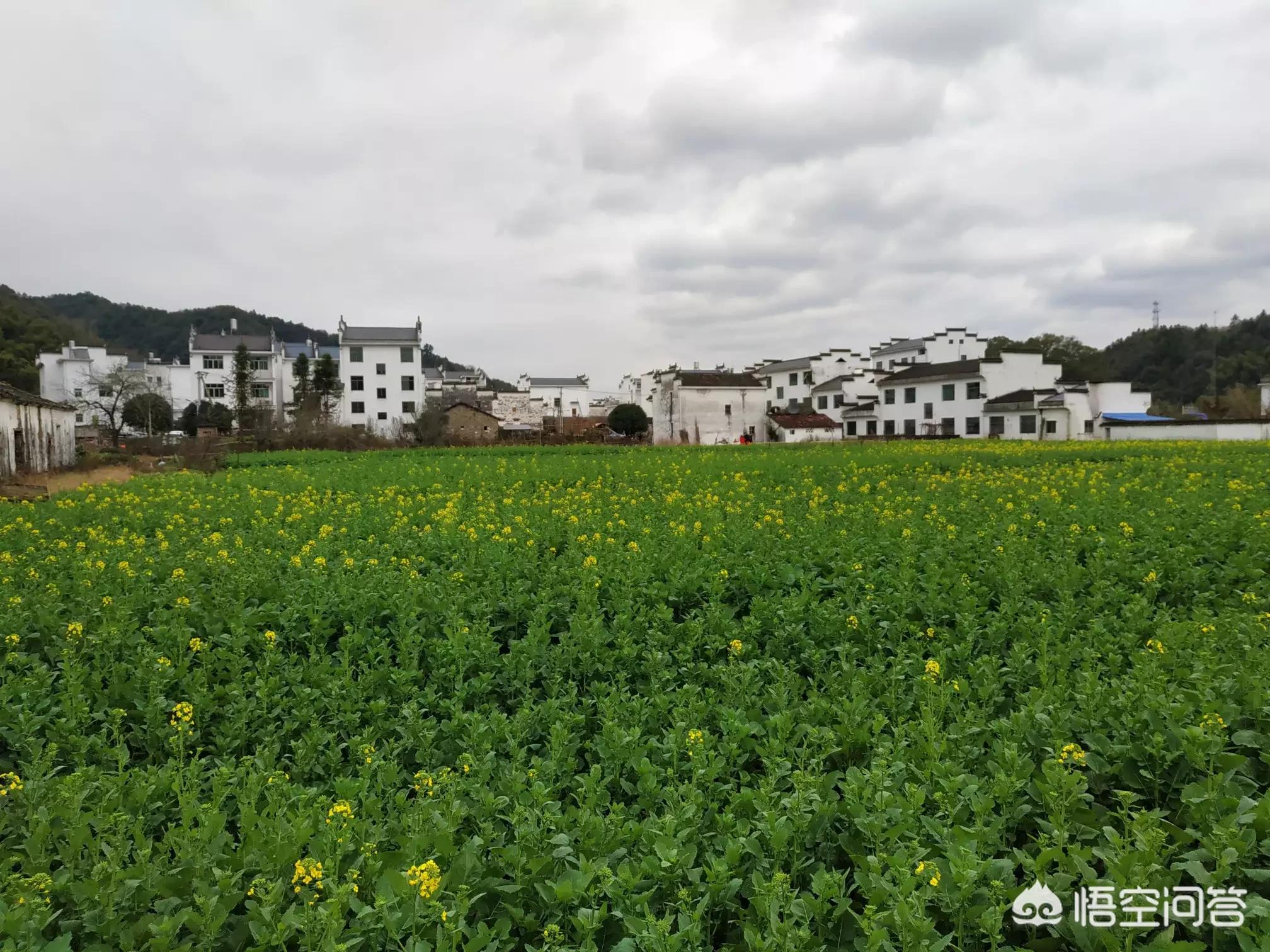 昆明欧洲杯直播平台:昆明欧洲杯直播平台有哪些