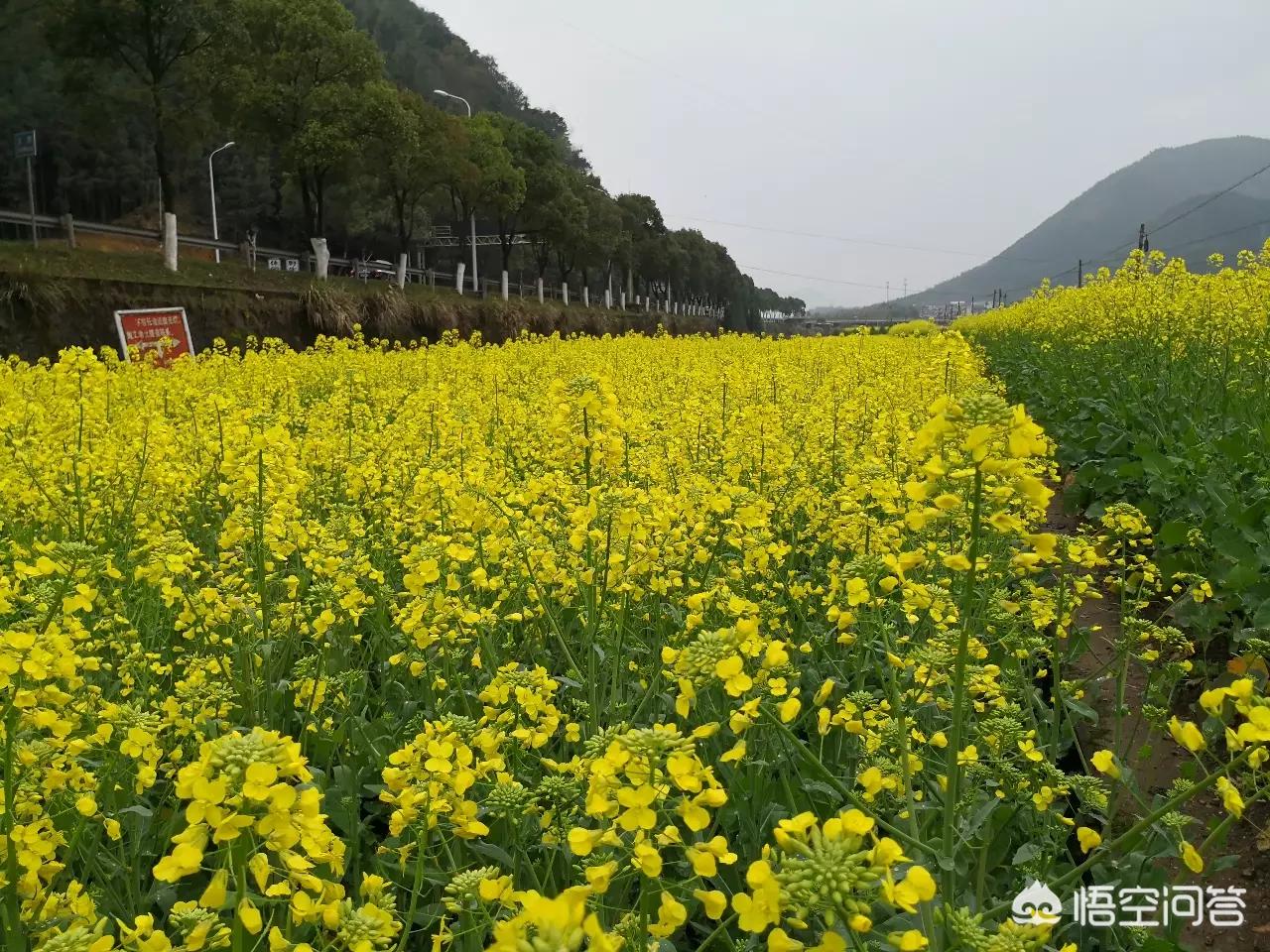 昆明欧洲杯直播平台:昆明欧洲杯直播平台有哪些