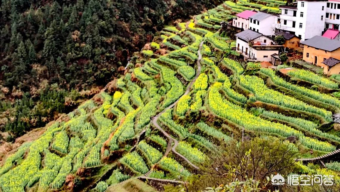 昆明欧洲杯直播平台:昆明欧洲杯直播平台有哪些