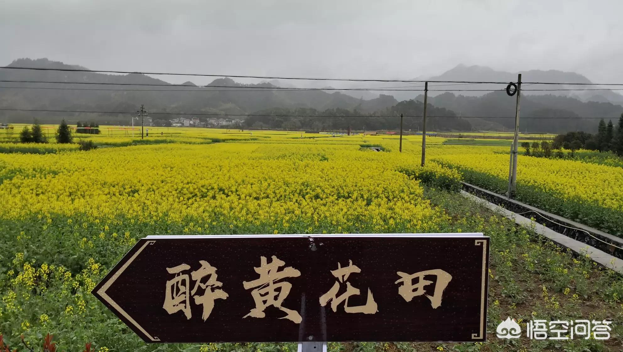 昆明欧洲杯直播平台:昆明欧洲杯直播平台有哪些