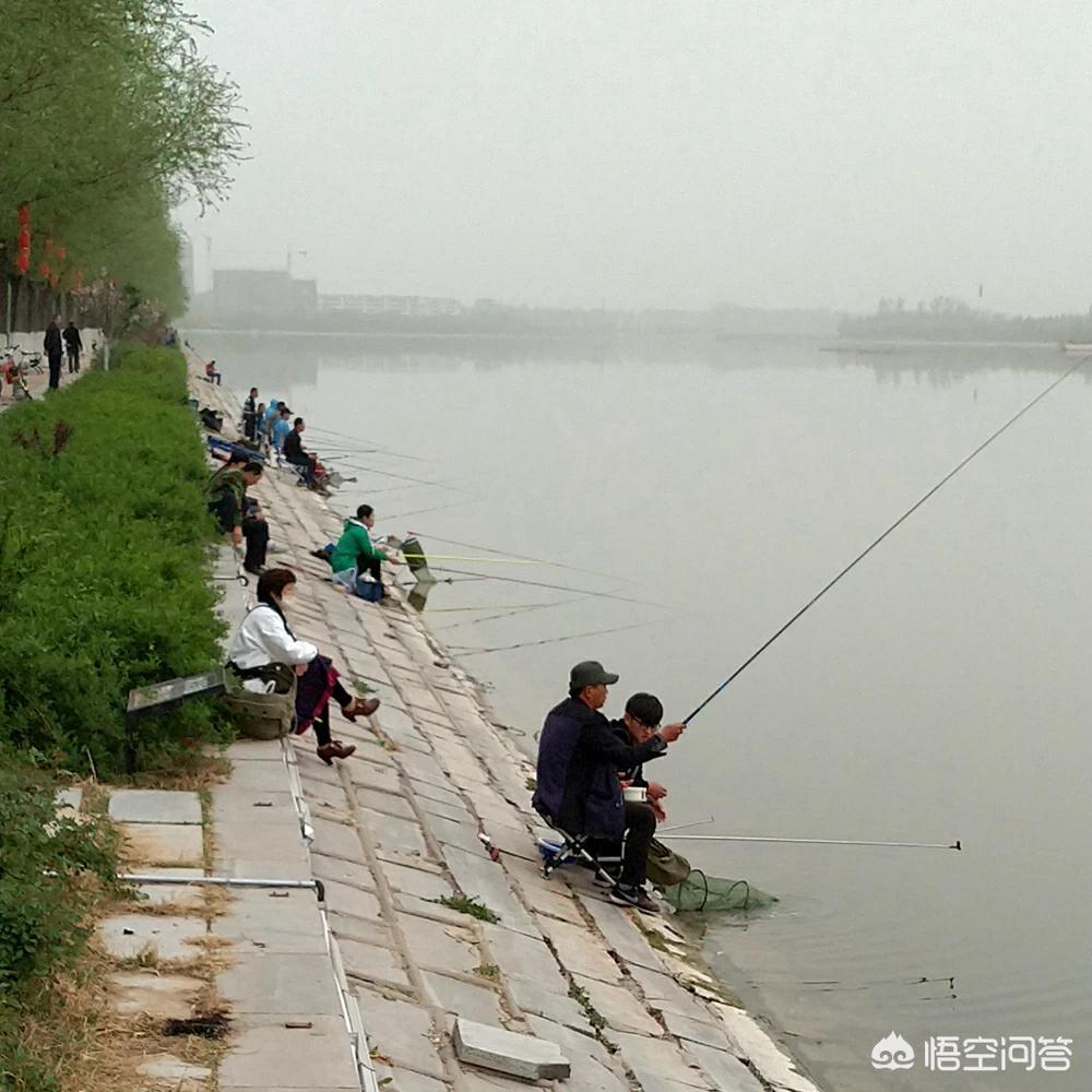 快鱼直播欧洲杯:快鱼直播欧洲杯在哪看