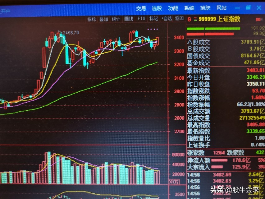 东莞哪里能看欧洲杯直播:东莞哪里能看欧洲杯直播的